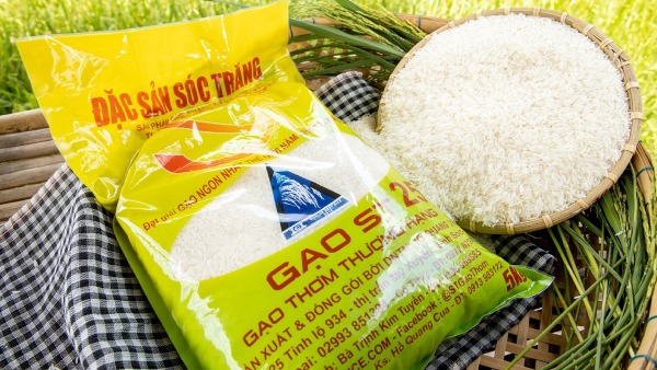 Gạo ST25 - loại gạo ngon nhất thế giới